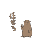 やる気のないマーモット1【日常編】（個別スタンプ：12）