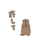 やる気のないマーモット1【日常編】（個別スタンプ：13）