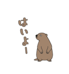 やる気のないマーモット1【日常編】（個別スタンプ：17）