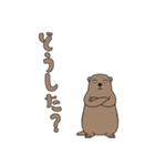 やる気のないマーモット1【日常編】（個別スタンプ：19）