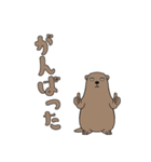 やる気のないマーモット1【日常編】（個別スタンプ：32）