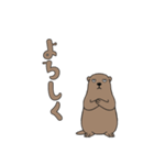 やる気のないマーモット1【日常編】（個別スタンプ：39）