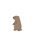 やる気のないマーモット2【言葉なし編】（個別スタンプ：5）