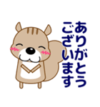 ずっと使える大人の優しいきづかいリス（個別スタンプ：13）