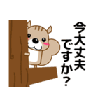 ずっと使える大人の優しいきづかいリス（個別スタンプ：29）