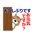 ずっと使える大人の優しいきづかいリス（個別スタンプ：37）