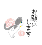 コクタンとスズの基本の挨拶（個別スタンプ：5）