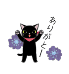 コクタンとスズの基本の挨拶（個別スタンプ：6）