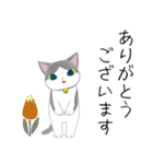 コクタンとスズの基本の挨拶（個別スタンプ：7）