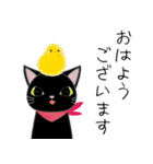 コクタンとスズの基本の挨拶（個別スタンプ：11）