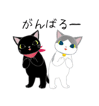 コクタンとスズの基本の挨拶（個別スタンプ：37）