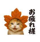 秋♪子猫の日常フレーズ（個別スタンプ：2）