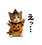 秋♪子猫の日常フレーズ（個別スタンプ：15）