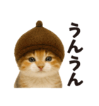 秋♪子猫の日常フレーズ（個別スタンプ：19）