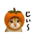 秋♪子猫の日常フレーズ（個別スタンプ：20）