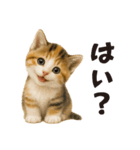 秋♪子猫の日常フレーズ（個別スタンプ：21）