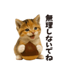 秋♪子猫の日常フレーズ（個別スタンプ：23）