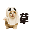 秋♪子猫の日常フレーズ（個別スタンプ：27）