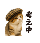 秋♪子猫の日常フレーズ（個別スタンプ：29）