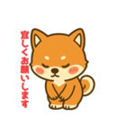 しばまるの日常（柴犬スタンプ）（個別スタンプ：12）