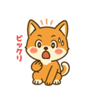 しばまるの日常（柴犬スタンプ）（個別スタンプ：21）