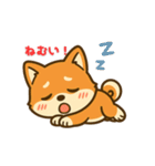 しばまるの日常（柴犬スタンプ）（個別スタンプ：23）