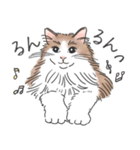 ノルウェージャン ハチワレねこ2（個別スタンプ：2）