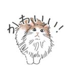 ノルウェージャン ハチワレねこ2（個別スタンプ：3）