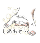 ノルウェージャン ハチワレねこ2（個別スタンプ：4）