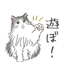 ノルウェージャン ハチワレねこ2（個別スタンプ：5）