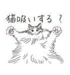 ノルウェージャン ハチワレねこ2（個別スタンプ：6）