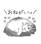 ノルウェージャン ハチワレねこ2（個別スタンプ：7）
