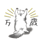 ノルウェージャン ハチワレねこ2（個別スタンプ：8）