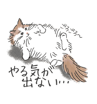 ノルウェージャン ハチワレねこ2（個別スタンプ：10）