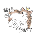 ノルウェージャン ハチワレねこ2（個別スタンプ：11）