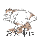 ノルウェージャン ハチワレねこ2（個別スタンプ：12）
