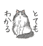 ノルウェージャン ハチワレねこ2（個別スタンプ：15）