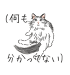 ノルウェージャン ハチワレねこ2（個別スタンプ：16）