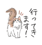 ノルウェージャン ハチワレねこ2（個別スタンプ：17）