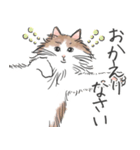 ノルウェージャン ハチワレねこ2（個別スタンプ：18）