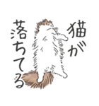 ノルウェージャン ハチワレねこ2（個別スタンプ：19）