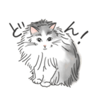 ノルウェージャン ハチワレねこ2（個別スタンプ：21）
