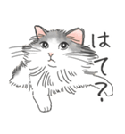 ノルウェージャン ハチワレねこ2（個別スタンプ：23）