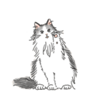 ノルウェージャン ハチワレねこ2（個別スタンプ：24）