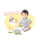 ほまたんゴー（個別スタンプ：7）