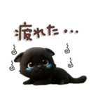 ちび黒にゃん♡秋の気遣い-毎日使える-（個別スタンプ：14）