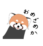 レッサーパンダとして 3（個別スタンプ：1）