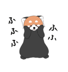 レッサーパンダとして 3（個別スタンプ：3）