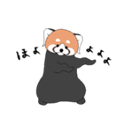 レッサーパンダとして 3（個別スタンプ：10）