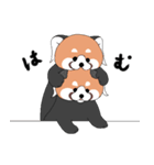 レッサーパンダとして 3（個別スタンプ：19）